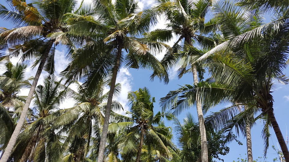 Nusa Lembongan-Indonesia